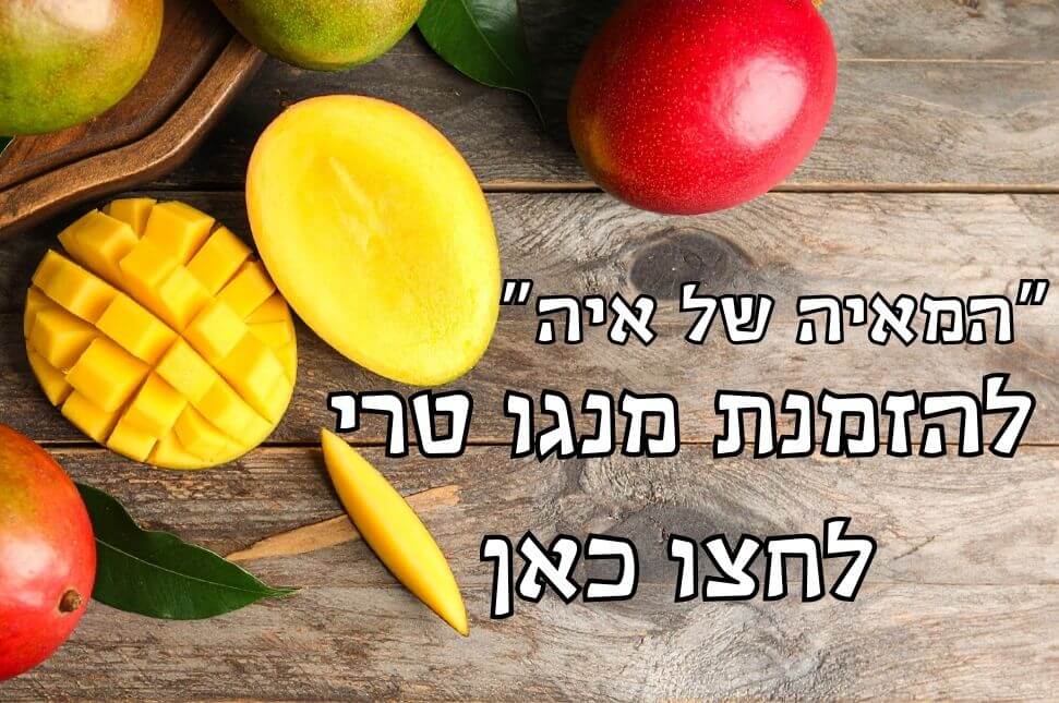 מנגו מזן מאיה להזמנות בקבוצות רכישה. משק שניידמן
